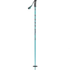 Best Pirce 🔥 Scott Punisher Ski Poles ❤️ -Scott Sales Shop BL D2